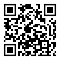 罗布乐思国际版