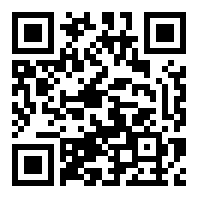 雷电将军的惩罚游戏破解版安卓破解Web3.0版