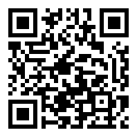 雷电将军的惩罚游戏破解版安卓破解Web2.0版