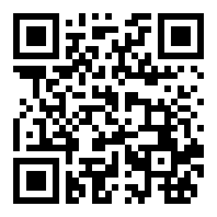 rfs飞行模拟器GeoPulse