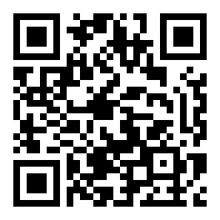 雷电将军的惩罚游戏破解版3G破解版