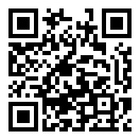 pokki存档版