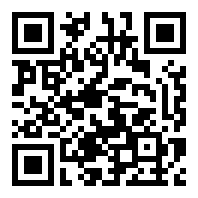 拉力地平线国际服v0.1.0