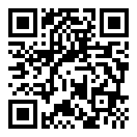 宠物online