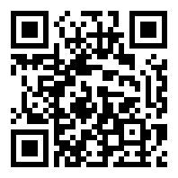 飞手的真实收入