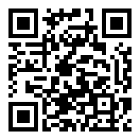 咸鱼之王小飞机辅助器