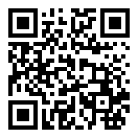雷电将军的惩罚游戏破解版NicheGeo