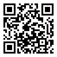 POJAVLAUNCHER启动器java