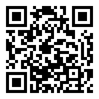 雷电将军的惩罚v2.0.5安卓联网版