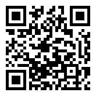 绿宝石386专业版
