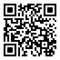 英勇勋章游戏