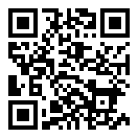 91轻量版ios描述配置文件