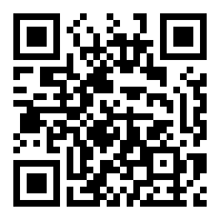 4399双偷盗宝游戏手机版下载