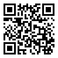 蜂王小说LocalAI